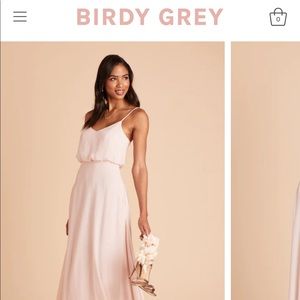 Birdy Grey Gwennie Bridesmaids Dress Chiffon Pale Blush Size 0